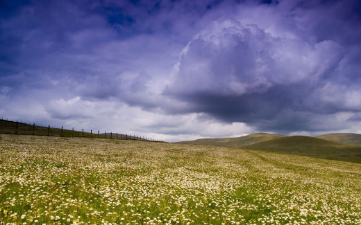 472150 (a): :2560x1600